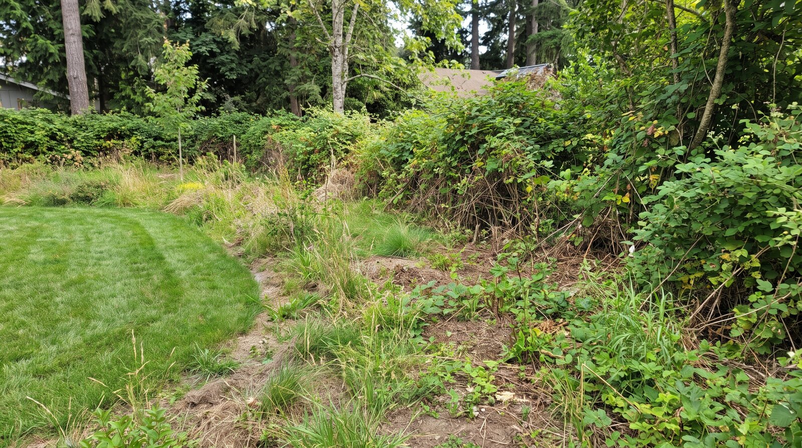 Gartenzaun vorher